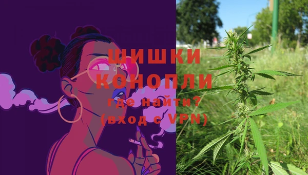 ГАЛЛЮЦИНОГЕННЫЕ ГРИБЫ Новокубанск