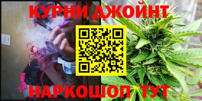 сатива Канаш