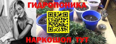 первитин Камышлов